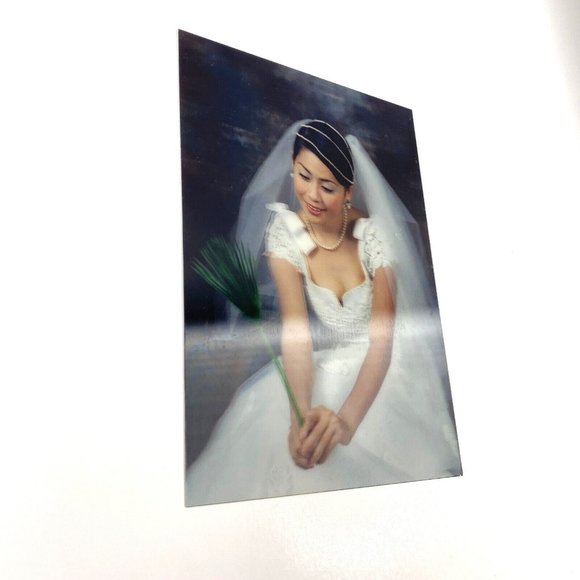Asian Bride Wedding 3-D Art Photo Photograph 5" x 7" Demo Print Lenticular 3D - Picture 3 of 6
